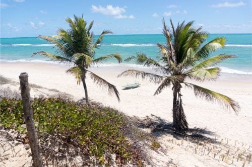 ᐅ Las 10 Mejores Playas De Maceió 【2022】impresionantes