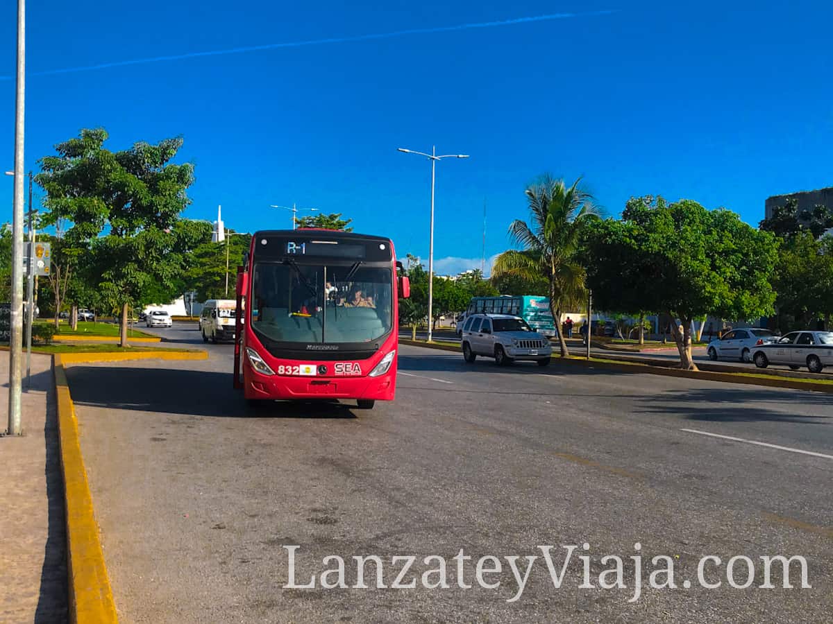 Transporte publico en Cancun