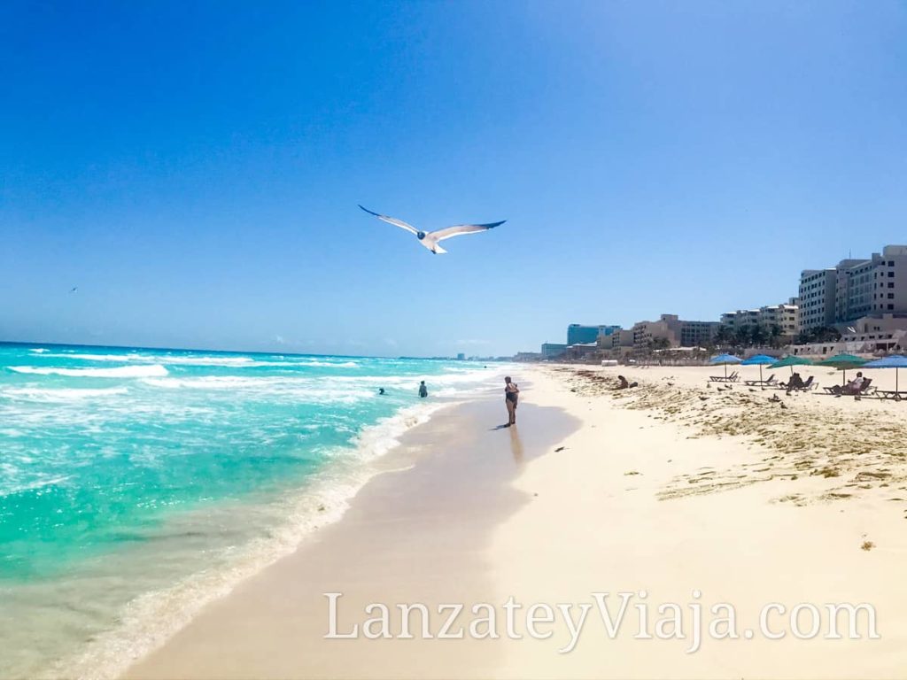 Orilla de la Playa Marlin Cancun
