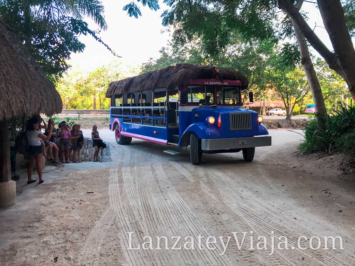 Autobús morado en el Parque Xcaret