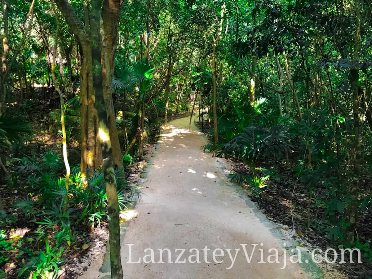 Sendero del parque Kabah en Cancun