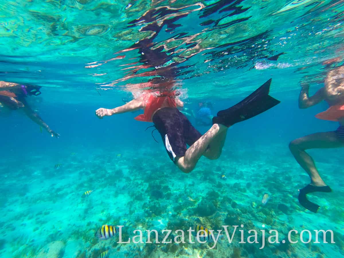 Persona practicando Snorkel en Isla Mujeres